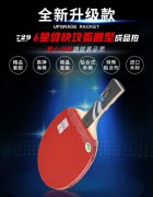 729乒乓球拍横拍单拍6星六星VERY碳素球拍长柄双面反胶