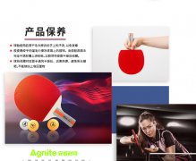 得力乒乓球拍对拍学生儿童成人入门直拍套装F2320